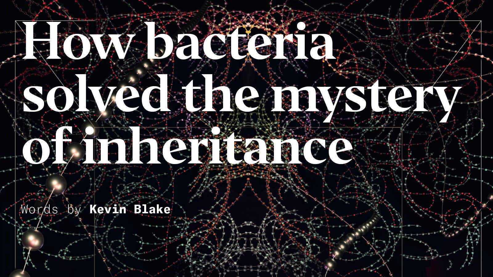 How bacteria solved the mystery of inheritance